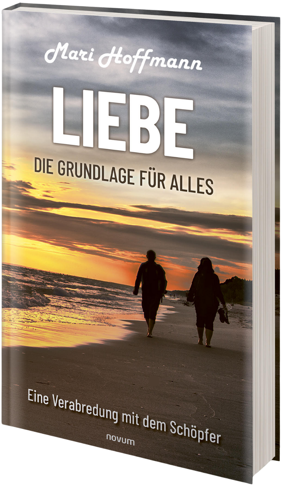 Livro Liebe — Die Grundlage für alles